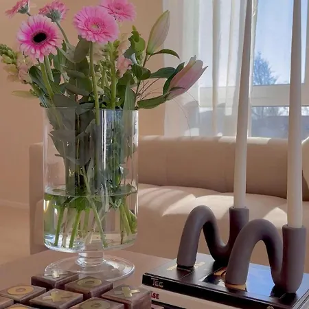 Michou Luxury Penthouse In アパート *